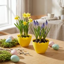 Article Large pot décoratif jaune en forme d'œuf cassé Ø17cm - Set de 20