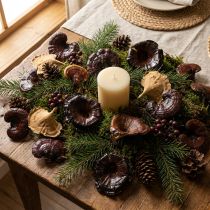 Article Lot de 100 champignons séchés naturels brillants pour décoration automnale