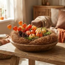 Article Fibres Naturelles de Palmyra pour Décoration et Gestecks - 1kg