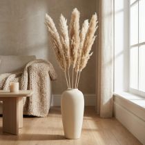 Article Pampasgras séché blanchi naturel 70-75 cm - Lot de 6 tiges