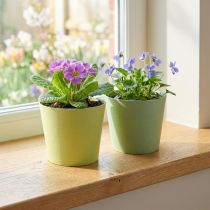 Article Pots miniatures en papier avec doublure, bleu-vert et vert clair, Ø9 cm H7,5 cm, lot de 4