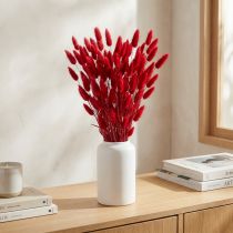Article Herbe de Lagurus séchée rouge 60 cm 50 g pour décoration intérieure