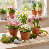 Article Lot de 12 décorations sur tige en bois – Fleurs et papillons colorés Ø10cm