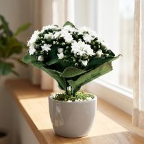 Article Kalanchoé artificiel blanc 24 cm - Flammendes Käthchen