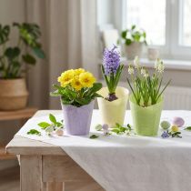 Article Pots décoratifs tressés en papier vert, jaune et violet Ø7cm H13cm – Lot de 12
