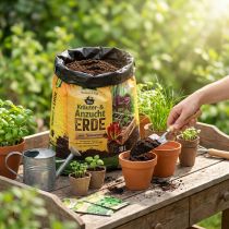 Article Terreau biologique pour herbes aromatiques et semis 10L – frux