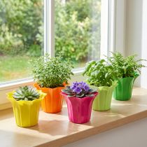 Article Lot de 10 cache-pots colorés en plastique, Ø10,5 cm