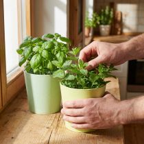 Article Pots décoratifs en papier avec film plastique intégré, set de 4, vert et bleu, Ø15 cm x H13 cm