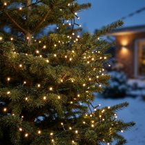 Article Luminaire LED 350 Lampes Warm White - Câble Vert - 7,5 m