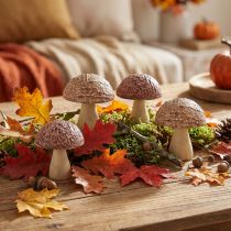 Article Champignons décoratifs en bois 8 pièces 5 × 6 cm marron naturel