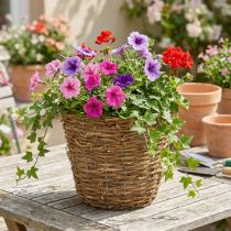 Article Panier à plantes grimpantes Ø25cm H22,5cm, pot de fleurs naturel