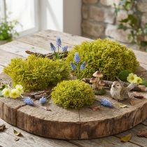 Article Lot de 3 coussins de mousse artificielle vert et brun, 10/12/14 cm
