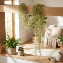 Article Tillandsia artificielle décorative suspendue 180 cm vert et blanc
