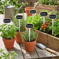 Article Étiquettes à Plantes en Plastique Noir 29 cm - Lot de 10