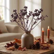 Article Branche de Fruits de Bois Eucalyptus Séché Effet Givré Mûre – Lot de 25