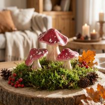 Article Décorations champignons rouges avec tige en fil de fer, 5,5/8 cm, lot de 12