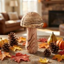 Article Champignon en bois décoratif en paulownia Ø15 cm H28 cm