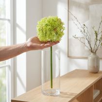 Article Fleur artificielle Allium vert Ø18cm H90cm