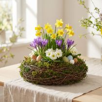 Article Coupe décorative ronde en branches et mousse avec intérieur en plastique, Ø20 cm