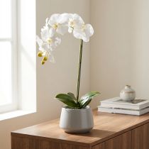 Article Kunstpflanze orchidée blanche 62 cm en pot - Décoration intérieure
