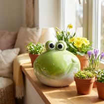 Article Figurine Grenouille en Céramique Verte – Décoration Intérieure 18 cm
