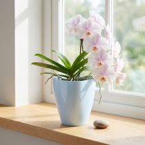 Article Pot pour orchidées en plastique blanc brillant Ø12,5 cm