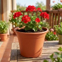 Article Pot de fleurs en plastique terracotta Ø19cm H16cm