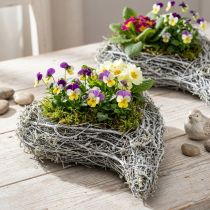 Article Cœur déco à planter en bois blanc avec film plastique, lot de 4, 15cm x 23cm x 5cm