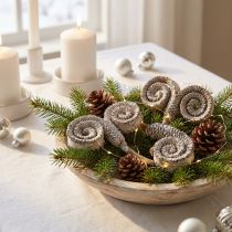 Article Lot de 25 fleurs séchées naturelles palmier blanc lavé