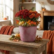 Article Pot décoratif en métal avec feuilles, rouge vin, Ø25,5cm x H22cm