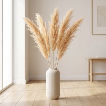 Article Fleurs séchées Asparagus couleur abricot 90 cm - Lot de 5