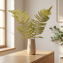 Article Fougère séchée et conservée verte 80 cm pour décoration intérieure