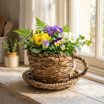 Article Tasse décorative en paille tressée avec soucoupe Ø17 cm H13 cm