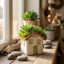 Article Maison en céramique décorative à planter ou illuminer – 11 cm