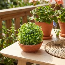 Article Mini boule de buis avec fleurs artificielles vert Ø10cm