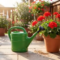 Article Arrosoir vert 5L avec pomme amovible pour jardin et balcon