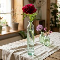 Article Vase déco bouteille en verre transparent/vert style rétro Ø6,5cm H30cm