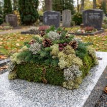 Article Mousse décorative – véritable mousse et lichen pour compositions florales 250 g