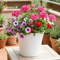 Article Pot de fleurs en plastique blanc Ø22cm H18cm