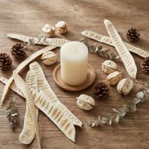Article Écorces naturelles blanchies 25 pièces – Décoration exotique