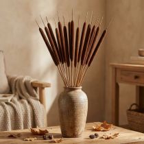 Article Lot de 100 roseaux décoratifs marron 75 cm