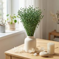 Article Flachs séché vert 50–55 cm – Décoration et créations DIY