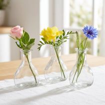Article Set de 6 mini vases en verre transparent 11 cm pour décoration intérieure