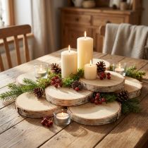 Article Disques en bois avec écorce de bouleau naturel Ø9-10cm 7 pcs