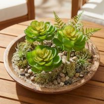 Article Echeveria artificielle verte Ø7 cm, lot de 6 pièces