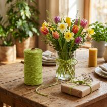Article Bobine de corde en jute verte Ø4mm 100m pour décoration et bricolage