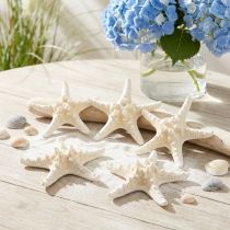 Article Décoration naturelle 5 étoiles de mer blanches séchées 19-26 cm