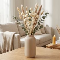 Article Craspedia pilons séchés crème 45-55cm 20 pcs