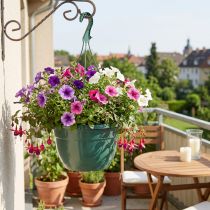 Article Suspension pour Plantes Verte Ø25cm H50cm avec Système de Drainage