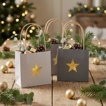 Article Sachets cadeaux en papier avec étoile dorée et poignées 12×12×12 cm – Lot de 9